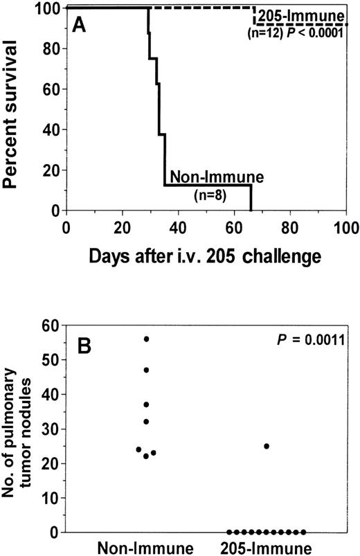 Fig. 2. Recipient immunization with an irradiated tumor cell vaccine increases GVT activity and prevents death from tumor. / One month after C3H.SW→C57BL/6 BMT, recipients (205-immune, n = 12) were immunized with 50 Gy-irradiated 205IL-2/TK cells. Control recipients (nonimmune, n = 8) were not immunized. Ten days after the first vaccine, micrometastases were established in all recipients by intravenous injection of 1 × 105 205 tumor cells, and 205-immune recipients received 3 more vaccines at weekly intervals. Lung nodules were counted after death or after day 100 for each recipient; pulmonary nodule counts were not available for 1 mouse in the nonimmune group because the carcass was severely cannibalized before autopsy. 205-immune recipients had significantly enhanced survival (A, P < .0001) and a significant reduction of lung nodules (B, P = .0011) compared to nonimmune recipients. Results were pooled from 2 independent experiments.