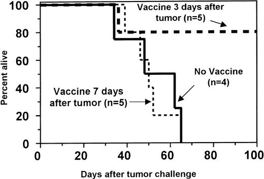 Fig. 5. Tumor immunization of BMT recipients increases GVT activity against preexisting leukemia. / One month after BMT, SW→ B6 recipients were challenged intravenously with 1.5 × 104 C1498 cells to induce preexisting leukemia. Recipients were then either not immunized (no vaccine; solid line) or immunized 4 times with 10 × 106 irradiated C1498 leukemia cells at a 1-week interval starting 3 days (day 3 vaccine; thick dashed line) or 7 days (day 7 vaccine; thin dashed line) after tumor challenge. Although immunization beginning on day 7 did not improve survival, immunization beginning on day 3 significantly enhanced survival (P = .0351) compared to the nonimmune controls.