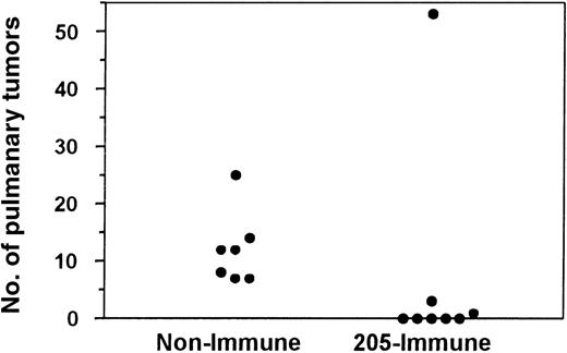 Fig. 6. Recipient immunization with a tumor cell vaccine increases GVT activity against preexisting 205 tumor. / One month after SW→ B6 BMT, micrometastatic fibrosarcoma was established by intravenous injection of 1 × 105 205 tumor cells. Recipients were either not immunized (nonimmune) or immunized 4 times with 50 Gy-irradiated 205IL-2/TK cells (205-immune) at a weekly interval starting on day 3 after challenge. Lung nodules were counted 1 month after tumor challenge. The day 3 205-immune group had a significant reduction in lung nodules (P = .0140) compared to the nonimmune recipients.