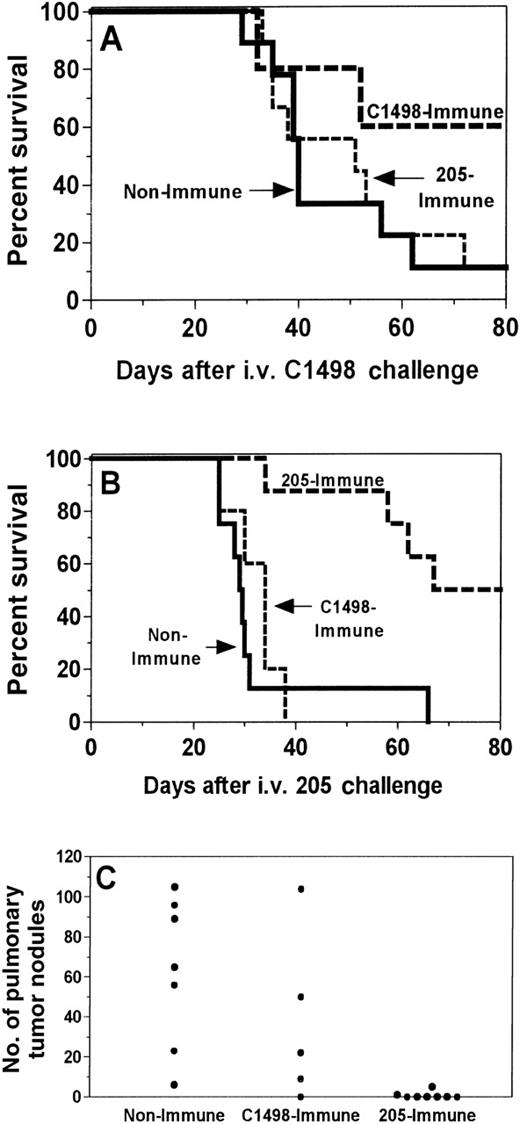 Fig. 7. GVT activity after tumor immunization of BMT recipients is tumor-specific in vivo. / One month after BMT, SW→ B6 recipients were immunized twice with irradiated C1498 leukemia cells (C1498-immune) or were irradiated 205IL-2/TK cells (205-immune) at a 1-week interval. Control recipients (nonimmune) were not immunized. Ten days after the 2nd vaccine, 1.5 × 104 C1498 cells (A) or 1 × 105 205 cells (B, C) were injected intravenously to simulate relapse after BMT, and immune recipients were immunized twice more at 1-week intervals. Lung nodules were counted in the 205-challenged mice at the time of death or after 100 days. Although tumor immunization against either 205 or C1498 induced protection (P < .05) against the immunizing cell type, it did not induce cross-protection against the other tumor (P > .05 for both survival tests and lung nodules). Results were pooled from 2 independent experiments.