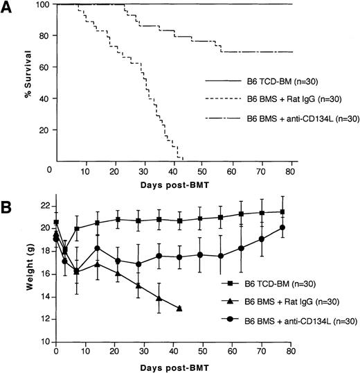 Fig. 1. Prevention of lethal acute graft-versus-host disease (GVHD) by anti-CD134L monoclonal antibody (mAb). / Lethal acute GVHD was induced by transfer of B6 bone marrow (BM) cells with 2.5 × 107 spleen cells (B6 BMS) into lethally irradiated BDF1 mice. Ten mice in each group were given intraperitoneal injections of 1 mg of anti-CD134L mAb on the day before bone marrow transplantation (BMT) (day −1) and the day of BMT (day 0) and then 0.5 mg of anti-CD134L mAb twice a week until day 14 after BMT. For an acute-GVHD–positive control, control rat IgG was administered instead of anti-CD134L mAb. For an acute-GVHD–negative control, B6 T-cell–depleted BM was transplanted without spleen cells. Administration of anti-CD134L mAb to the B6 BMS group ameliorated both mortality (A) and loss of body weight (B) due to acute GVHD. The survival rate of the recipients treated with anti-CD134L mAb was 70% on day 80 after BMT, whereas all mice in the control-IgG group died within 43 days. Pooled results of 3 similar experiments are shown (total n = 30).