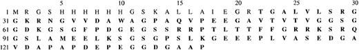 Fig. 5. Sequence of recombinant CD43intra (137aa). / The sequence of CD43 intracytoplasmic tail begins at threonine n22. It was translated from DNA sequence CD43 (base 943-1293).