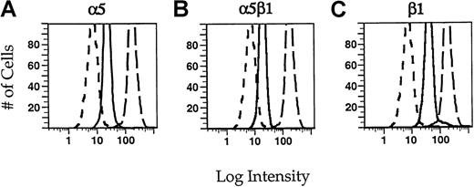 Fig. 2. Identification of integrins by flow cytometry. / Neutrophils were incubated in 5 μg/mL of the monoclonal antibodies JB55 (α5) (A), CLB-705 (α5β1) (B), or JB1a (β1) (C) in the presence of fMLP (solid lines). For comparison, cells were incubated with an irrelevant control antibody MOPC21 (short dashes) or with the monoclonal antibody against β2 integrin, IB4 (long dashes). The cells were rinsed with PBS and then incubated in a fluorescein-conjugated secondary antibody. The cells were fixed with paraformaldehyde before flow cytometry. Intensity histograms for each of the monoclonal antibodies are shown. For each condition, 1 × 104cells were measured.
