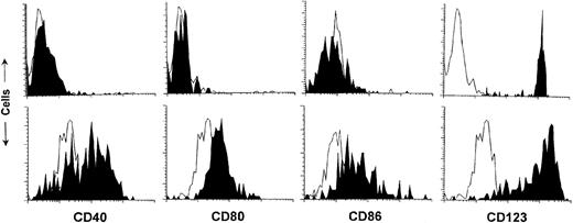 Fig. 5. Surface phenotype of fresh or activated DC2 from G-CSF-treated donors. / DC2 from G-CSF-treated donors were purified as shown in Figure 3. DC2 were tested for the expression of CD40, CD80, and CD86 either fresh (upper panels) or after 48 hours pre-activation in vitro by GM-CSF, IL-3, and TNF-α (lower panels). IL-3Rα (CD123) expression confirms that the DC2 population was not contaminated with other cell types that might have expanded during in vitro culture. Fluorescence signal of cells stained with the specific antibody is shown in solid black, whereas the background of cells stained with an isotype-matched antibody of irrelevant specificity is shown in white with a black contour.