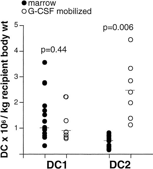 Fig. 7. Recipients of unmodified stem cell products from G-CSF-treated donors receive more DC2 than recipients of unmodified marrow. / Sample aliquots were obtained from either marrow (n = 15) or peripheral blood stem cells (n = 7) intended for allogeneic transplantation. After lysis of erythrocytes, cells were labeled with FITC-conjugated antibodies to lineage markers CD3, CD14, CD16, CD19, CD20, CD34, CD56, IgM, anti-HLA-DR PerCP, and either anti-- CD11c or anti-IL-3Rα PE for the identification of DC1 and DC2, respectively. Absolute DC counts were determined as described in “Materials and methods.” Each symbol represents a single sample. Median values are represented by horizontal lines in each series. P values were determined using t tests for independent samples.