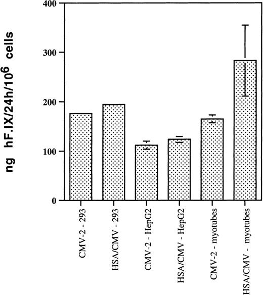Fig. 4. Expression of human F.IX (ng/106 cells/24 hours) in conditioned media after in vitro transduction of cultured human cells (24-hour supernatants) with AAV vector. / MOIs were 104 vector genomes/cell. Results are shown for vectors AAV-CMV-hF.IX-2 (CMV) and AAV-HSA/CMV-hF.IX-2 (HSA/CMV). Cell types were HEK-293 cells, HepG2 cells, and human myotubes derived from primary myoblasts. Cells were transduced in triplicate. Values for myotubes were average for 24-hour supernatants at days 11 and 18 posttransduction; values for HEK-293 and HepG2 cells were average for 24-hour supernatants at day 4 posttransduction. Vertical lines are standard deviation.