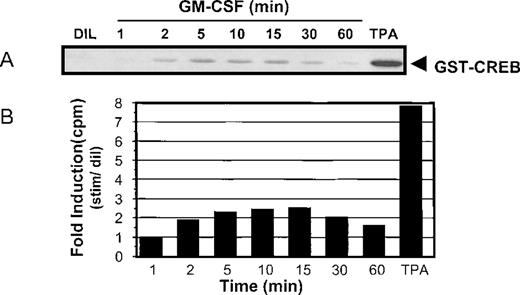 Fig. 2. GM-CSF stimulates pp90RSK activation and CREB phosphorylation. / TF-1 cells (2 × 107 per time point) were serum- and factor-starved for 24 hours, and stimulated with rhGM-CSF (1 nmol/L) for 2, 5, 10, 15, 30, and 60 minutes, and with diluent for 10 minutes as negative control (BSA + 0.02% in PBS). TPA (50 ng/mL) served as the positive control. Cell lysate (600 μg) was immunoprecipitated with anti-RSK antibody (2 μg per sample). (A) Immune complex kinase assays were performed with affinity-purified GST-CREB (11 μg per sample). The arrow indicates the location of GST-CREB (63 kd). (B) Phosphorylation was quantitated by scintillation counting. The results represent 1 of 3 separate experiments.