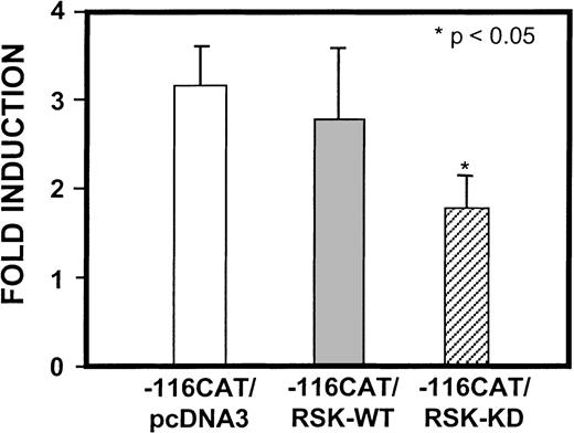 Fig. 3. pp90RSK activation is required for maximal transcription of the −116 CAT/egr-1 promoter construct. / TF-1 cells (107) were factor- and serum-starved for 24 hours, and placed in serum-free media. Twenty micrograms of −116 CAT/egr-1 construct, 20 μg of wild-type pp90RSK, and 20 μg of kinase-defective pp90RSK were electroporated into TF-1 cells and stimulated with either diluent control (PBS + 0.02% BSA) or rhGM-CSF (1 nmol/L) for 4 hours. Four micrograms of CMV β-galactosidase plasmid was cotransfected as the internal control for transfection efficiency. Fold induction represents percentage acetylation (by CAT assay) of constructs stimulated by GM-CSF divided by percentage of diluent-stimulated constructs. P values were determined by Student paired t test analysis. Data represent the average of 3 independent experiments; each transfection was performed in triplicate.