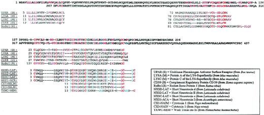 Fig. 3. Alignment of PRV-1 to members of the uPAR/Ly6/CD59/snake toxin family. / The protein sequences were retrieved from the Swissprot database and aligned to PRV-1 according to the model of Kieffer et al.27 Identical amino acids are shown in red, conserved cysteine residues in bold red. Similarities shared only between PRV-1 and the snake toxin family are shown in blue. Numbers preceding the sequences indicate the first amino acid aligned.