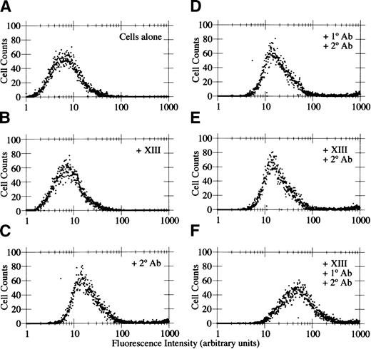Fig. 5. Soluble factor XIIIa binds to HMEC-1 cells. / Flow cytometry was conducted on HMEC-1 cells in the absence of added reagents (A), with 15 μg/mL factor XIIIa (B), with FITC-conjugated rabbit antigoat IgG secondary antibody (C), with goat antihuman factor XIIIa primary antibody plus secondary antibody (D), with factor XIIIa plus secondary antibody (E), or with factor XIIIa plus primary antibody and secondary antibody (F).