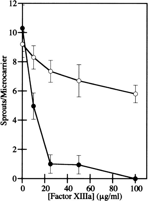 Fig. 8. Concentration dependence of HMEC-1 capillary tube inhibition by factor XIIIa in γA/γA and γA/γ′ fibrin. / The number of sprouts per microcarrier for HMEC-1 cells in γA/γA (filled circles) or γA/γ′ fibrin (open circles) was determined. Cell sprouts were defined as projections containing a minimum of 3 nuclei. Each point represents the mean of triplicate determinations ± SD.