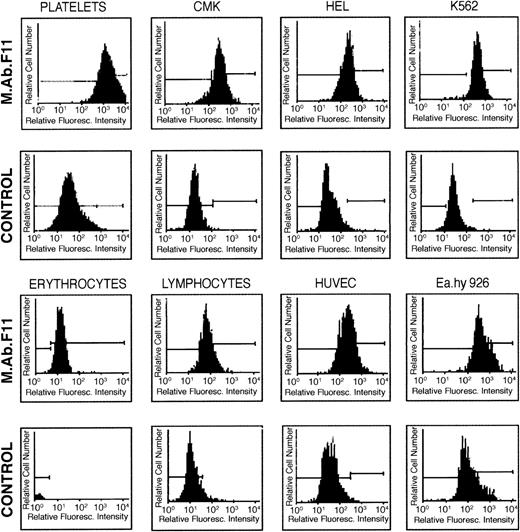Fig. 8. Cellular distribution of the F11 receptor as determined by flow cytometry. / Each cell type was incubated with mAb.F11 (5 mg/mL), followed by the addition of the secondary antibody GAM IgG–FITC. Cells were analyzed by FAC Sort flow cytometry. As controls, cells were incubated with nonimmune mouse IgG, followed by incubation with the secondary antibody. Cells considered positive for F11R exhibited a mean fluorescence intensity of 40 channels higher than control groups. Each figure is representative of 5 experiments.