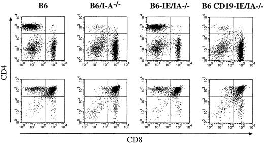 Fig. 7. Influence of the different I-E transgenes on the number of peripheral (top row) and thymic (bottom row) CD4+ T cells. / Lymph node and thymus cell suspensions were stained with mAbs specific for CD4 (PE) and CD8 (FITC). The CD4/CD8 ratios in the LN T lymphocyte populations were determined from 4 mice per group, and the following values were obtained: B6, 8.2; B6/I-A−/−, 0.09; B6-IE/I-A−/−, 4.8; B6 CD19IE/I-A−/−, 0.06. The percentages of CD4+CD8− thymocytes in the thymi of the same animals were B6, 6.08%; B6/I-A−/−, 1.26%; B6-EαdI-A−/−, 8.16%; B6CD19-IE/I-A−/−, 1.26%.
