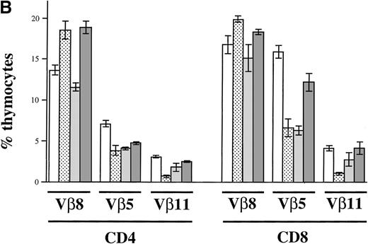 Fig. 8. Clonal deletion of T cells as a consequence of I-E transgene expression. / (A) Flow cytometric analysis of Vβ8, Vβ5, and Vβ11 expression among CD4+ and CD8+ LN T cells. LN cells of the 5 indicated mouse strains (n = 3 for B6-IE and B6 CD11c-IE; n = 6 for B6, B6 CD19-IE, B6 CD11c-CD19-IE) were triple stained with anti–CD4-PE, anti–CD8-CyChrome, and either anti-Vβ8.1,8.2-FITC, Vβ5.1, 5.2-FITC, or Vβ11-FITC, respectively. Results are expressed as a percentage of Vβ+CD4+ and Vβ+CD8+ cells. (B) Flow cytometric analysis of Vβ8, Vβ5, and Vβ11 expression among thymocytes. Total thymocytes were triple stained as described in (A). The percentages of positive cells among CD4+ or CD8+ thymocytes were determined (n = 3 for each type of transgenic mouse).