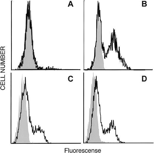 Fig. 2. Expression of the N-terminal HA-tagged and the C-terminalmyc-epitope–tagged human EDG-6 receptor . (A, C) Intact and (B, D) permeabilized HEK293 cells transfected with C-terminalmyc-epitope–tagged human EDG-6 (A, B) or with N-terminal HA-tagged human EDG-6 (C, D). FACS analysis was performed as described in “Materials and methods.” Grey areas indicate the signal without the first antibody (A, B) or autofluorescence of unstained cells (C, D), respectively.