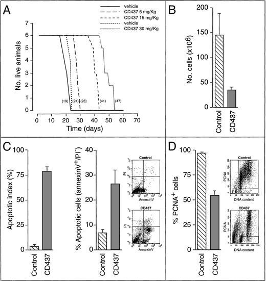 Fig. 1. In vivo activity of CD437 in the SCID/NB4 model of acute promyelocytic leukemia. (A) SCID mice (6 animals/experimental group) were inoculated intraperitoneally with 2 × 106 NB4 cells. Two days later, treatment was started and continued for 3 weeks with 1 daily intraperitoneal injection of vehicle or CD437, as indicated. The number in parentheses represents the median survival time for each experimental group. Combined results from 2 separate experiments are presented. In the first experiment (solid line for the vehicle), animals were treated with 5 and 15 mg/kg CD437 or vehicle alone. In the second experiment (dashed line for the vehicle), animals were injected with 30 mg/kg CD437 or vehicle alone. Increases in survival time for the retinoid-treated groups were analyzed by the log-rank test: CD437 5 mg/kg (P < .05); CD437 15 mg/kg and CD437 30 mg/kg (P < .01). (B-D) SCID mice (4 animals/experimental group) were inoculated intraperitoneally with 2 × 106 NB4 cells. Twenty days later, animals were treated with a single intraperitoneal injection of vehicle (control) or CD437 (30 mg/kg). Sixteen hours after treatment, the ascitic fluid was withdrawn and the leukemic cells were subjected to various types of analysis. The results, summarized by the bar graph data, are the mean ± SD of 4 separate animals. In B the total number of cells was counted after staining with erythrosin to determine the level of viability (control, 98% ± 1%; CD437, 80% ± 2%; mean ± SD of 4 animals). In C the percentage of apoptotic cells showing signs of nuclear fragmentation, after staining with DAPI (left panel) or showing cytoplasmic membrane phosphatidylserine externalization (annexin-V positivity and PI negativity; right panel), was evaluated. For annexin-V, the cytofluorometric analysis of 1 representative vehicle-treated and 1 representative CD437-treated animal, from which the data summarized in graphic form were derived, is also shown. The lower right quadrant contains apoptotic cells (annexin-V+/PI−); the lower left quadrant contains viable cells (annexin-V−/PI−; control, 92% ± 1%; CD437, 68% ± 6%; mean ± SD of 4 animals). In this analysis, the upper right quadrant contains necrotic cells (annexin-V+/PI+; control, 1% ± 1%; CD437, 4 ± 2%; mean ± SD of 4 animals). In D the percentage of nonproliferating viable cells was evaluated by biparametric flow cytometry after staining with an anti-PCNA antibody and counterstaining with PI. The cytofluorometric analysis of 1 representative vehicle-treated and 1 representative CD437-treated animal, from which the data summarized in graphic form were derived, is also shown. The left quadrant contains apoptotic cells and cell debris and was not considered in the analysis. The 2 right quadrants contain viable PCNA+ or PCNA− cells in the G1, S, or G2/M phase of the cycle as indicated by the content of DNA determined after PI staining. The percentage of viable PCNA−cells is 3% ± 1% for control animals and 45% ± 4% for CD437-treated animals (mean ± SD; n = 4).