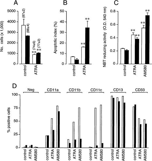Fig. 3. In vitro growth inhibitory, apoptotic and cytodifferentiating activity of ATRA and AM580 in NB4 and NB4.437r cells. NB4 (open bars) or NB4.437r (solid bars) cells (2 × 105/mL) were treated with ATRA (10−6 mol/L), the powerful cytodifferentiating retinoid AM580 (10−8 mol/L) or vehicle (dimethyl sulfoxide, control) for 4 days. (A) The total number of cells was counted after staining with erythrosine (the percentage of viable cells is indicated in parentheses). (B) The proportion of apoptotic cells after staining with DAPI is shown. (C) NBT-reducing activity was measured spectrophotometrically after stimulation of cells with PMA for 30 minutes. Results are the mean ± SD of 3 separate culture dishes. (D) CD11a, CD11b, CD11c, CD13, and CD33 surface expression was measured by flow cytometry after staining with specific fluoresceinated antibodies. “Neg” indicates the level of background fluorescence observed in the different samples. Data are representative of at least 2 independent experiments with superimposable results. **Significantly higher or lower than the respective control values according to the Student t test (P < .01).