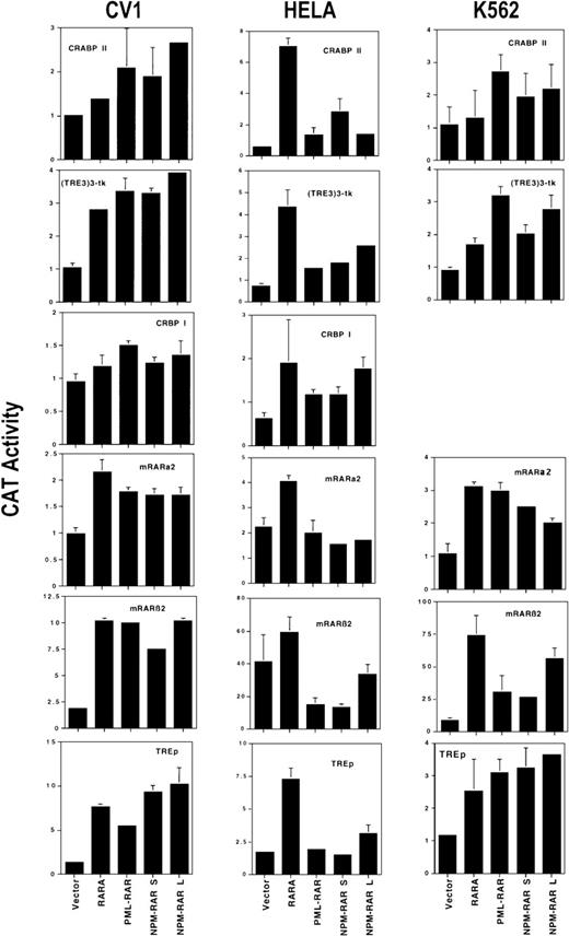 Fig. 1. Transcriptional activation. Expression vector pSG5 containing the coding sequence for RARα, PML-RAR, NPMS-RAR, or NPML-RAR was transfected into CV1, HeLa, or K562 cells along with CAT reporter genes driven by the CRABP II, (TRE3)3-tk, CRBP I, mRARα2, mRARβ2, or TREp promoter elements, and RSV-luciferase. Cells were incubated in 1 μM retinoic acid or ethanol vehicle for 16 hours after transfection and harvested for luciferase and CAT activity. The values indicate the ratio of the CAT activity induced with retinoic acid compared to ethanol, normalized for transfection efficiency. The mean and standard deviations for a minimum of 2 independent transfections are shown.