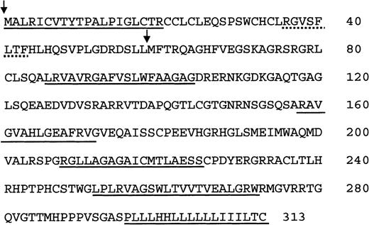 Fig. 2. The deduced myeov protein sequence. / Start sites of the 2 possible translation products are marked with an arrow in front of the methionine start codon. An RNP-1 motif is indicated by a dotted line. The 6 regions that might function as a transmembrane domain are underlined.