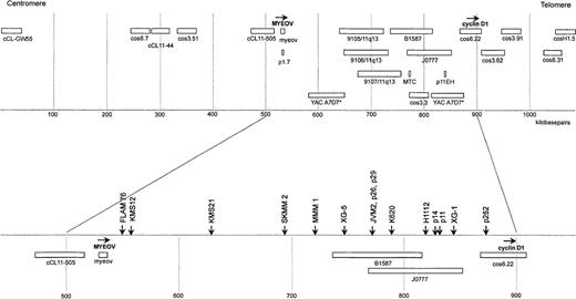 Fig. 3. Map of the myeov–cyclin D1 region at 11q13, constructed by fiber FISH. / The map is an extended version of the previously reported fiber-FISH map.26 The scale was based on restriction mapping of the cosmids cos 6.22, cos 3.62, and cos 3.91, which together were used as internal standard of 113.4 kilobase (kb).35 All available probes in the region are shown in the top part of the figure (see “Materials and methods”). Myeov was detected using a pool of the 3 subclones. The transcriptional orientation of themyeov and cyclin D1 genes is indicated with horizontal arrows. Hybridization of YAC A7D7* revealed an internal deletion that is apparent as 2 separate, discontinuous signals. The bottom part shows the localization of translocation breakpoints in 7 MM cell lines and 5 mantle cell lymphomas (p11, p14, p26, p29, and p252) as determined by fiber FISH. Mapping of the mantle cell lymphoma breakpoints has also been described previously.26