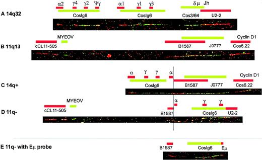 Fig. 5. Example of t(11;14) breakpoint analysis by DNA fiber FISH of the XG-5 cell line. / Red and green bars represent probes detected with Texas Red and FITC, respectively. Overlapping areas of Texas Red– and FITC-stained probes turn into yellow. From top to bottom, the following DNA fibers are shown: (A) a normal 14q32/IgH locus, (B) a normal BCL1/11q13 locus, (C) the 14q+ translocation product containing the cyclin D1 gene as observed in the XG-5 cell line, and (D and E) the 11q-product containing myeov in XG-5. Fibers A through D show hybridization patterns obtained with the standard IgH and 11q13 probe sets as described in “Materials and methods.” Fiber E, representing the 11q-product, shows the hybridization pattern of a combination of IgH and 11q13 probes optimized for visualization of the Eμ-enhancer probe in this particular cell line. For XG-5, this probe set consisted of the 2.7-kb Eμ probe, 11q13 P1 B1587, and IgH cosmid cosIg6.