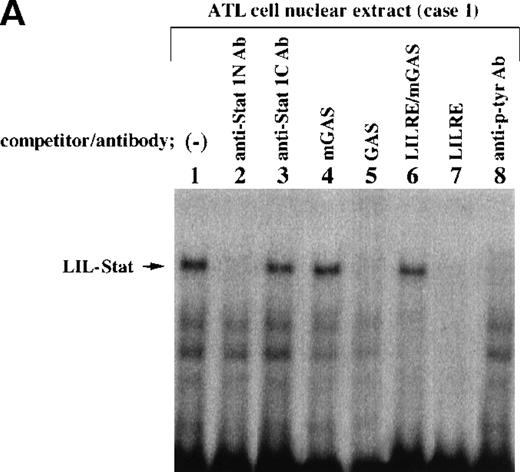 Fig. 1. Constitutive activation of LIL-Stat in leukemic cells of patients with ATL. / LILRE was used as a radiolabeled probe. Nuclear extracts were prepared from ATL cells (A, B, and lanes 3 to 10 of C) and LPS-stimulated THP-1 monocytic leukemia cells (lanes 1 and 2 of C). The double-stranded oligonucleotides used in this study were described in “Materials and methods.” Unlabeled competitor oligonucleotides were used at a 50-fold molar excess over radiolabeled LILRE probe. D shows the enhancer activity of LILRE in leukemic cells of 2 patients with ATL. Transfection of CAT reporters into ATL cells and CAT assays were carried out as described in “Materials and methods.” The CAT data were normalized to the average activity elicited by eitherfos/CAT or 3M. Error bars represent SDs from triplicate cultures.