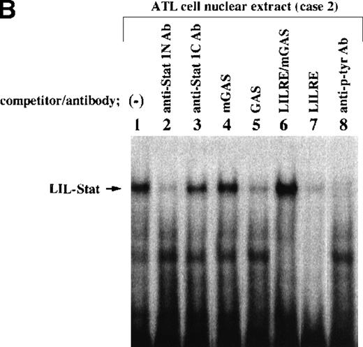 Fig. 1. Constitutive activation of LIL-Stat in leukemic cells of patients with ATL. / LILRE was used as a radiolabeled probe. Nuclear extracts were prepared from ATL cells (A, B, and lanes 3 to 10 of C) and LPS-stimulated THP-1 monocytic leukemia cells (lanes 1 and 2 of C). The double-stranded oligonucleotides used in this study were described in “Materials and methods.” Unlabeled competitor oligonucleotides were used at a 50-fold molar excess over radiolabeled LILRE probe. D shows the enhancer activity of LILRE in leukemic cells of 2 patients with ATL. Transfection of CAT reporters into ATL cells and CAT assays were carried out as described in “Materials and methods.” The CAT data were normalized to the average activity elicited by eitherfos/CAT or 3M. Error bars represent SDs from triplicate cultures.