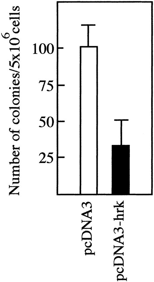 Fig. 7. Expansion of FL5.12 cells after transfection with Hrk. / Cells were transfected with pcDNA3 or pcDNA3-Hrk expression plasmids and then cultured into 96-well plates at 2000 cells per well in the presence of G418 for 12 days. Data are presented as the number of colonies (wells containing viable cells) per 5 × 106 transfected cells (mean of triplicate cultures ± SD).