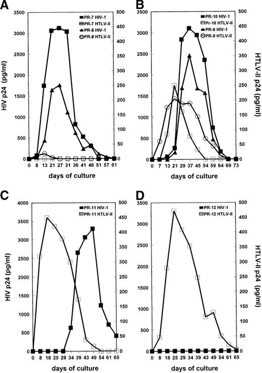 Fig. 3. Kinetics of virus production by primary cultures obtained from HIV-1/HTLV-II–coinfected patients. (A) Cultures from PR-7 and PR-8, characterized by a high HIV-I/HTLV-II proviral load ratio. (B) Cultures from PR-9 and PR-10, with an HIV-I/HTLV-II ratio equal to 1. (C) Culture from PR-II before therapy, with a low HIV-I/HTLV-II ratio. (D) Culture from PR-12 with a very low HIV-I/HTLV-II ratio. See Figure2 for procedures.