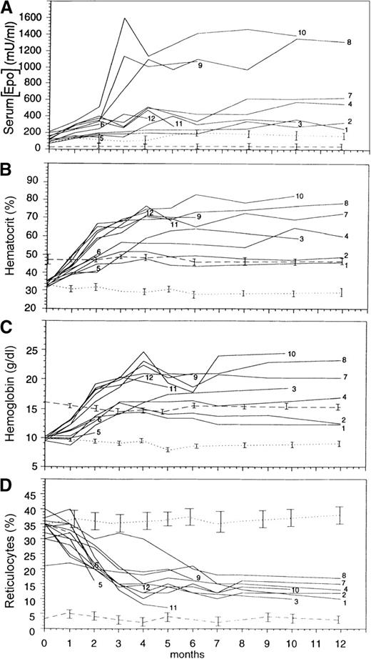 Fig. 2. Correction of hematologic values in treated β-thalassemic mice. / (A) Serum Epo concentration, (B) Hct, (C) Hb concentration, and (D) the proportion of reticulocytes were measured monthly in treated β-thalassemic mice (continuous lines), 3 untreated β-thalassemic controls (dotted lines), and 3 heterozygous controls (dashed lines). Values correspond to individually treated mice indicated by numbers or are the mean ± SEM (standard error of the mean) for controls.