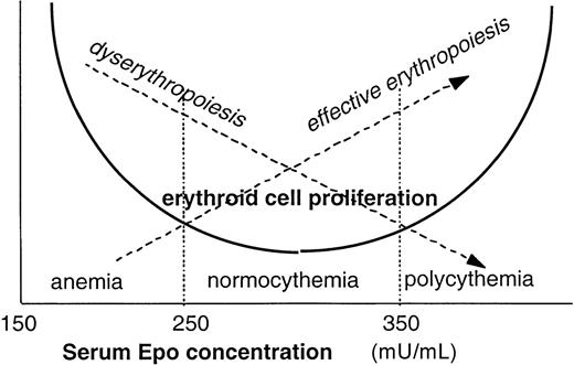 Fig. 5. Schematic representation of the effects of serum Epo concentration on the erythropoiesis of treated β-thalassemic mice.