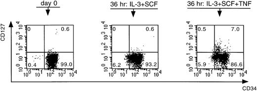 Fig. 4. Effect of IL-3 + SCF and IL-3 + SCF + TNF- on the expression of CD34 and CD127. / CD34+Lin− cells were analyzed at day 0 immediately after cell sorting and after a preincubation period of 36 hours. Numbers in quadrants refer to percentage of cells within that quadrant. This figure is representative of a series of six independent experiments.