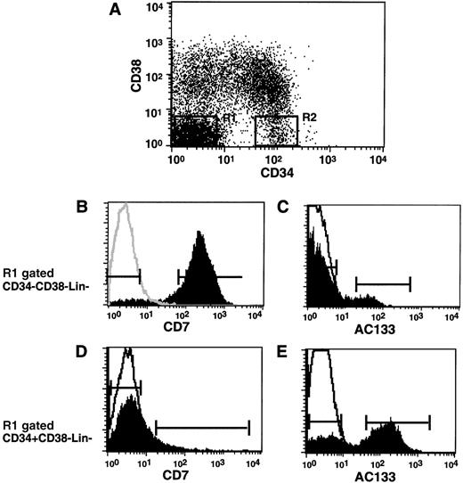 Fig. 1. Phenotypic analysis of cell surface AC133 and CD7 on primitive subpopulations of CD34−CD38−Lin− and CD34+CD38−Lin−populations of human CB cells. Representative analysis of cell surface CD34 and CD38 by multiparameter flow cytometry of human CB cells depleted for cells expressing lineage commitment markers (Lin−). (A) Subpopulations of CD34−CD38−Lin−and CD34+CD38−Lin−cells were gated R1 and R2, respectively. Histograms showing the expression of CD7 and AC133 on gated subfractions of (B, C) CD34−CD38−Lin−cells and (D, E) CD34+CD38−Lin− cells. Due to the low number of AC133 cells detected in the CD34−CD38−Lin−fraction, cells shown in (C) are also gated CD7−using (B) markers. (A to E) Markers indicate sorting gates used for the isolation of specified subfractions. Analysis is representative of 4 independent CB samples. A single-line histogram indicates isotype overlay.