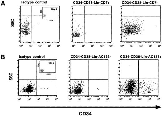 Fig. 3. Analysis of CD34 expression of purified subpopulations after in vitro culture for 3 days. A representative experiment (n = 5) of CD34 cell surface expression performed on subpopulations of cells isolated from the CD34−CD38−Lin−population based on the absence or presence of (A) CD7 or (B) AC133 cell surface expression. The entire contents of individual wells was collected after 3 days (2000-10 000 cells), washed, stained with mAbs against CD34, and analyzed using flow cytometric analysis. Cell surface phenotypes of subpopulations prior to culture are indicated as Day 0 (A, B) within isotype control dot plots.