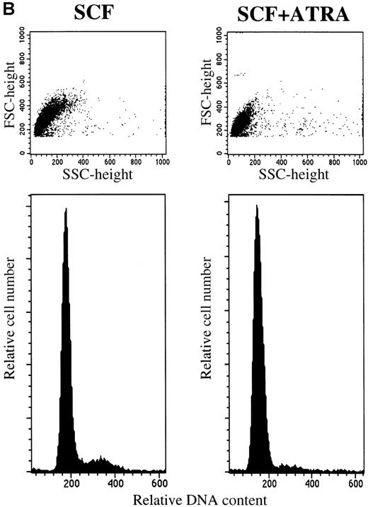 Fig. 3. ATRA reduces the proliferation rate of mast cells under stimulation with SCF. / The 5 × 104 10-week cultured mast cells were incubated in the presence or absence of SCF at 100 ng/mL for 1 week. ATRA was used at 10−7 mol/L. (A) The viable cells were enumerated every day. SCF alone, open circles; SCF+ATRA, closed circles; no factors, open squares; ATRA alone, closed squares. (B) The DNA distribution was examined by labeling of the cells with PI on day 2. FSC, forward light-scatter characteristics; SSC, side-scatter characteristics.
