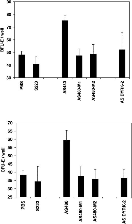 Fig. 12. The effect of antisense phosphorothioate DNA oligonucleotides to REDK is sequence-specific. / Low-density bone marrow cells were incubated with REDK sense (S223), antisense (AS480), mutant antisense (AS480M1, AS480M2), or DYRK2 antisense (AS DYRK2) and were plated in methylcellulose-based medium with synergistic factors, as described. BFU-E (upper panel) and CFU-E (lower panel) were scored at 12 and 7 days, respectively.