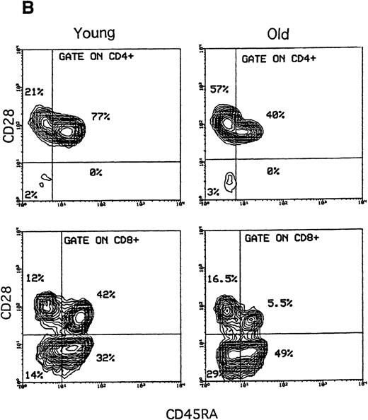 Fig. 3. Comparison of CD28 expression versus CD95 or CD45RA expression in both CD4 and CD8 T cells. / Freshly isolated PBMCs were stained with the following combinations of FITC-, PE-, and CyChrome-conjugated mAbs: CD95 or CD45RA, CD28, and CD4 or CD8. (A) In both the young and old subjects, 5% probability contour plots of CD28 expression (Y axis) versus CD95 expression (X axis) showed that both CD4 and CD8 T cells were made of 3 different subsets: CD95−CD28+ (upper-left boxes), CD95+CD28+ (ungated), and CD95+CD28− (lower boxes). In all stainings, CD28− T cells expressed CD95 at lower intensity than the CD28+CD95+ counterparts. (B) Analysis of CD28 expression (Y axis) versus CD45RA expression (X axis). In both the young and old donors, not all CD45RA+ T cells expressed CD28. Within the CD4+ T cells, all CD45RA+ were CD28+ (upper-right box), whereas in the CD8+ T cells, CD45RA+ T cells comprised both CD28+ (upper-right box) and CD28− T cells (lower-right box). Note that the data were obtained using lymphocytes from the same donors as in Figure 1 and 2.