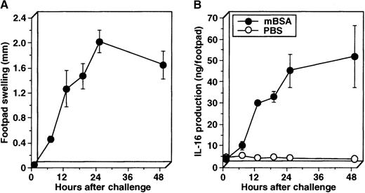 Fig. 3. Kinetic analysis on the IL-16 production in DTH footpads. / Sensitized mice were challenged with mBSA into footpads, and the footpad swelling was measured at a given time (A). Then, swollen footpads were cut off, minced in cold PBS, and briefly incubated on ice. Resultant supernatant was analyzed for IL-16 by ELISA (B). Similar results were obtained in 2 independent experiments.