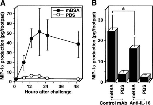 Fig. 8. Decreased production of MIP-1 in DTH footpads by anti-IL-16 treatment. / Sensitized mice were challenged with mBSA into footpads, and swollen footpads were cut off, minced in cold PBS, and briefly incubated on ice. Resultant supernatant was then analyzed for MIP-1α by ELISA (A). Sensitized mice were treated with neutralizing mAb against IL-16 (14.1) or an isotype-matched control mAb (S-S.1) and challenged with mBSA into footpads. Swollen footpads were then cut off 12 hours after the Ag challenge, minced in cold PBS, and briefly incubated on ice, and resultant supernatant was analyzed for MIP-1α by ELISA (B).