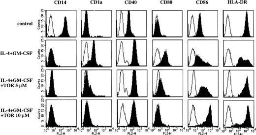 Fig. 1. The effect of TOR on the phenotype of monocyte-derived DC. / Adherent PBMC were cultured in a medium alone (control) or with IL-4 + GM-CSF in the presence or absence of TOR. After 7 days of culture the cells were stained for various cell surface markers and analyzed with flow cytometry. Representative histograms from 5 individual experiments are shown.