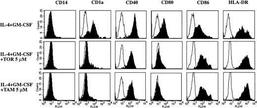 Fig. 4. TOR and TAM have identical effects on the phenotype of monocyte-derived DC. / Adherent PBMC were cultured with IL-4 + GM-CSF in the presence or absence of TOR or TAM. After 7 days of culture, the cells were stained for various cell surface markers and analyzed with flow cytometry. Representative histograms of 5 individual experiments are shown.