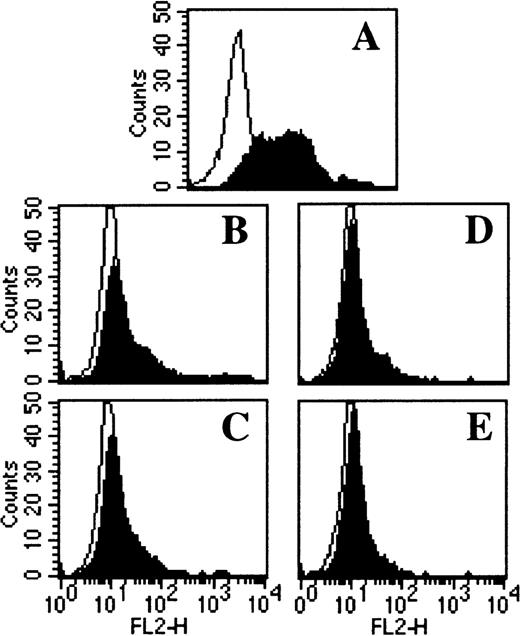 Fig. 7. TOR and TAM inhibit DC differentiation by mechanisms not involving the ER. / Adherent PBMC were cultured with (A) IL-4 + GM-CSF alone or in combination with (B) 5 μmol/L TOR, (C) 5 μmol/L TOR + 1 μmol/L E2, (D) 5 μmol/L TAM, or (E) 5 μmol/L TAM + 1 μmol/L ICI 182780. After 7 days of culture the cells were stained for CD1a expression and analyzed with flow cytometry. Representative histograms from 3 individual experiments are shown.