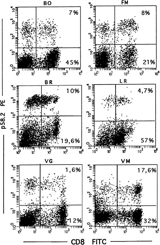 Fig. 1. Expression of p58 receptors of T lymphocytes infiltrating the tumors (TIL) in a series of renal cell carcinomas (RCC). / Non-adherent cells obtained from enzymatically dissociated tumors were analyzed by cytometry after double-fluorescence staining with anti-p58.2 GAMPE and fluorescein isothiocyanate–conjugated (FITC) CD8.