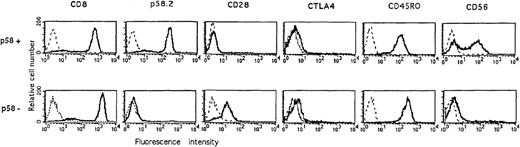 Fig. 3. Comparative phenotypic analysis of p58+ and p58− T-cell lines.