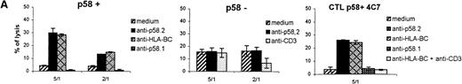 Fig. 5. Anti-p58 monoclonal antibody (mAb) inhibition of the cytolytic capacities of p58+ T cells. / (A) Lysis of tumor cells by p58+ and p58−T-cell lines and the p58+ cytotoxic T lymphocyte (CTL) clone 4C7. The cytotoxic activity of effector cells against autologous RCC was tested in a standard chromium-release assay at the indicated ratio of effector to target cells. Inhibition of the lytic activity was tested after preincubation of the cells for 30 minutes with the indicated mAbs. (B) CD3-redirected lysis of P815 cells induced by T-cell lines was generated by anti-CD3ε mAb (1 μg/mL) in the presence of anti-NK-R mAbs (2μg/mL).