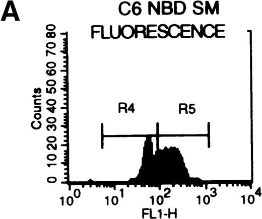 Fig. 8. C6-NBD-SM fluorescence of leukemic blasts following 18-hour culture. / (A) Blasts from pgp−ve patient LC incubated overnight with C6-NBD-SM demonstrate intense fluorescence on the subset of cells defined by region 5 (R5). Backgating of the (B) R4 and (C) R5 subsets demonstrated that R5 C6-NBD-SM high cells were the smaller cells with higher side scatter, typical flow cytometric features of apoptosis.35 The figure is a representative plot of a consistent finding. (D) Histogram of the same sample incubated without (filled plot) and with (unfilled plot) 1 μmol/L PSC-833, which demonstrates an increase in C6-NBD-SM high cells. (E, F) C6-NBD-SM–loaded blasts from pgp+ve patients (E) GO and (F) RF demonstrate a fluorescence shift in the entire population as well as in the fluorescence-high subset when untreated samples (filled plots) are compared to samples treated with PSC-833 (unfilled plot, thick line). (F) The lowering effect of UIC2 (unfilled plot, dotted line) on C6-NBD-SM fluorescence is also shown.