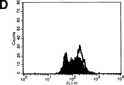 Fig. 8. C6-NBD-SM fluorescence of leukemic blasts following 18-hour culture. / (A) Blasts from pgp−ve patient LC incubated overnight with C6-NBD-SM demonstrate intense fluorescence on the subset of cells defined by region 5 (R5). Backgating of the (B) R4 and (C) R5 subsets demonstrated that R5 C6-NBD-SM high cells were the smaller cells with higher side scatter, typical flow cytometric features of apoptosis.35 The figure is a representative plot of a consistent finding. (D) Histogram of the same sample incubated without (filled plot) and with (unfilled plot) 1 μmol/L PSC-833, which demonstrates an increase in C6-NBD-SM high cells. (E, F) C6-NBD-SM–loaded blasts from pgp+ve patients (E) GO and (F) RF demonstrate a fluorescence shift in the entire population as well as in the fluorescence-high subset when untreated samples (filled plots) are compared to samples treated with PSC-833 (unfilled plot, thick line). (F) The lowering effect of UIC2 (unfilled plot, dotted line) on C6-NBD-SM fluorescence is also shown.