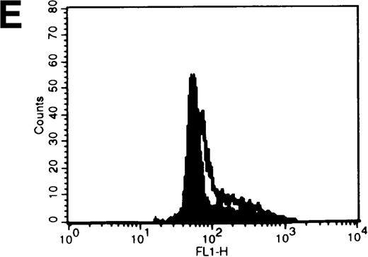 Fig. 8. C6-NBD-SM fluorescence of leukemic blasts following 18-hour culture. / (A) Blasts from pgp−ve patient LC incubated overnight with C6-NBD-SM demonstrate intense fluorescence on the subset of cells defined by region 5 (R5). Backgating of the (B) R4 and (C) R5 subsets demonstrated that R5 C6-NBD-SM high cells were the smaller cells with higher side scatter, typical flow cytometric features of apoptosis.35 The figure is a representative plot of a consistent finding. (D) Histogram of the same sample incubated without (filled plot) and with (unfilled plot) 1 μmol/L PSC-833, which demonstrates an increase in C6-NBD-SM high cells. (E, F) C6-NBD-SM–loaded blasts from pgp+ve patients (E) GO and (F) RF demonstrate a fluorescence shift in the entire population as well as in the fluorescence-high subset when untreated samples (filled plots) are compared to samples treated with PSC-833 (unfilled plot, thick line). (F) The lowering effect of UIC2 (unfilled plot, dotted line) on C6-NBD-SM fluorescence is also shown.
