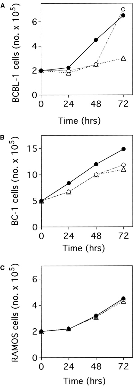 Fig. 2. Effects of endogenous NGF neutralization on the basal growth of HHV-8+ and HHV-8− B-lymphoma cell lines. / The figure depicts untreated cells (•), cells treated with 30 μg/mL anti-NGF Ab at 0 hour (○), and cells treated with 30 μg/mL anti-NGF Ab at 0 hour and 48 hours (▵). Cells were seeded in duplicate at (A, C) 2 × 105/mL or (B) 5 × 105/mL at 0 hour. The number of viable cells in each culture was determined daily using the trypan blue dye exclusion method. The values refer to the mean of each duplicate. In all cases, the SD was less than 10% of the mean. Similar results were obtained in 3 separate experiments.