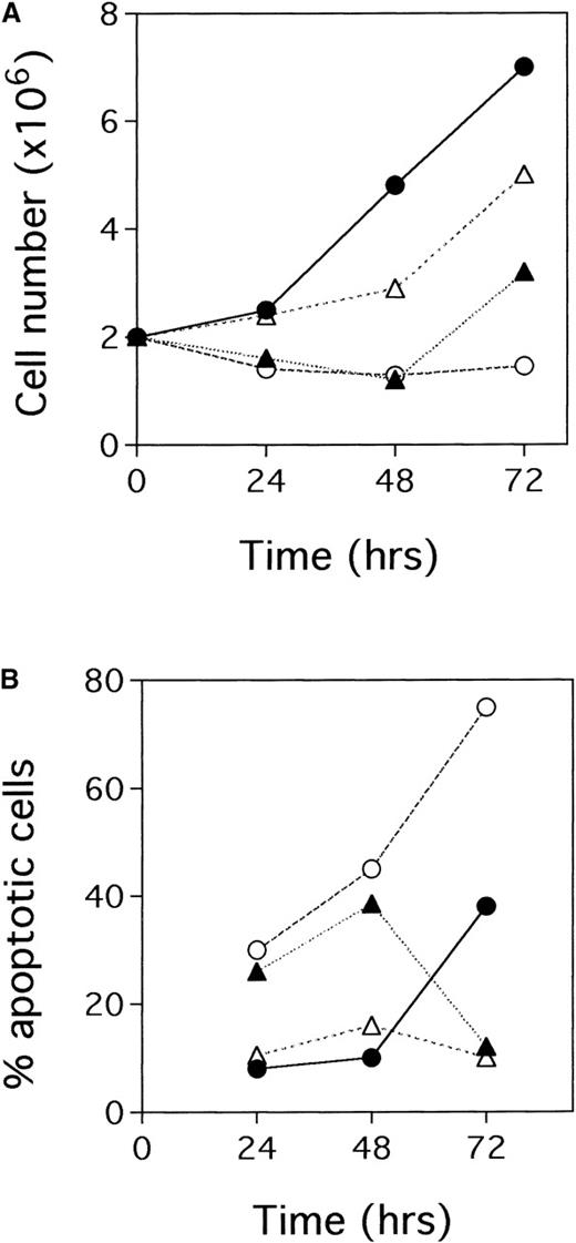 Fig. 5. Effects of TPA plus hr-NGF or anti-NGF antibodies on BCBL-1. / (A) Cell growth curves and (B) the percentage of apoptotic cells is depicted. Cells were seeded in duplicate at 2 × 105/mL. The figure depicts untreated cells (•), cells treated with 20 ng/mL TPA at 0 hour (▴), cells treated with TPA plus 5 ng/mL hr-NGF at 0 hour (▵), and cells treated with TPA plus 30 μg/mL anti-NGF Ab at 0 and 24 hours (○). The number of viable cells in each culture was determined daily using the trypan blue dye exclusion method. The values refer to the mean of each duplicate. In all cases, the SD was less than 10% of the mean. Similar results were obtained in 3 separate experiments.